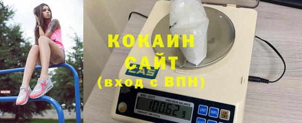 ГАЛЛЮЦИНОГЕННЫЕ ГРИБЫ Аркадак